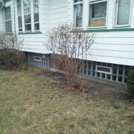 Basement Window